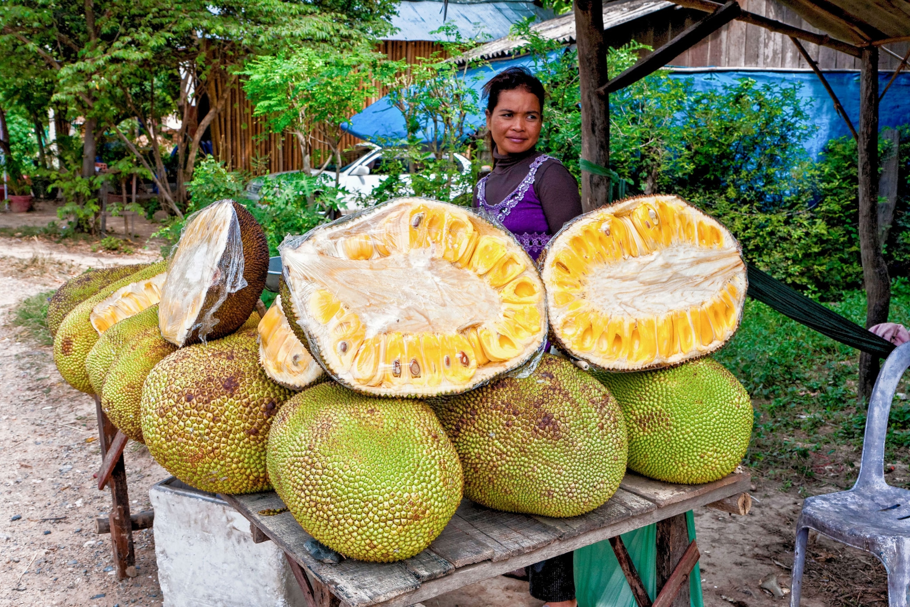 01-jackfruit-plate.jpg